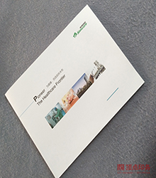 ���� �ߵ�����ӡˢ����