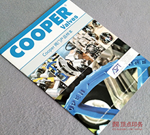 ���� ����������ӡˢˢ