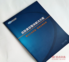 Ƥ������ �Ͼ�ӡˢ����