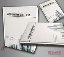 ��չ��Ƥ�� ����װ������