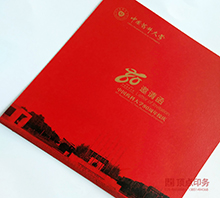 �������뺯ӡˢ