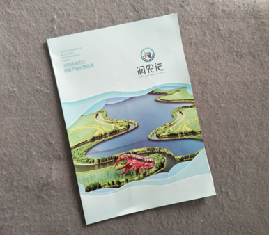 ������(c��)ӡˢ